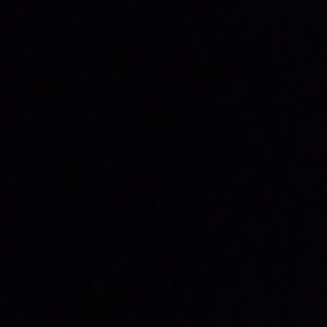 Meet your Posher, Bhakti